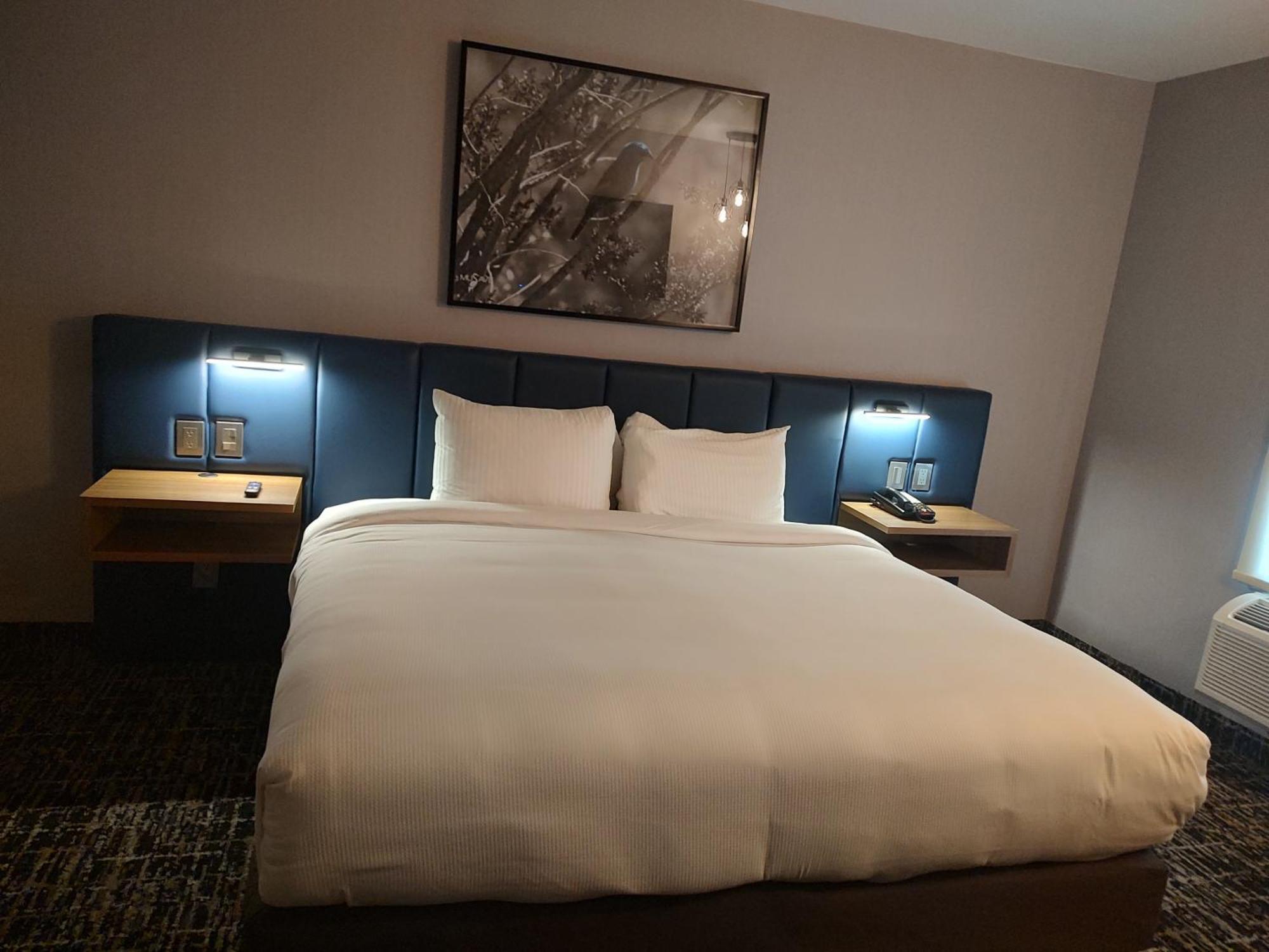 Voco Saltillo Suites By Ihg Eksteriør bilde