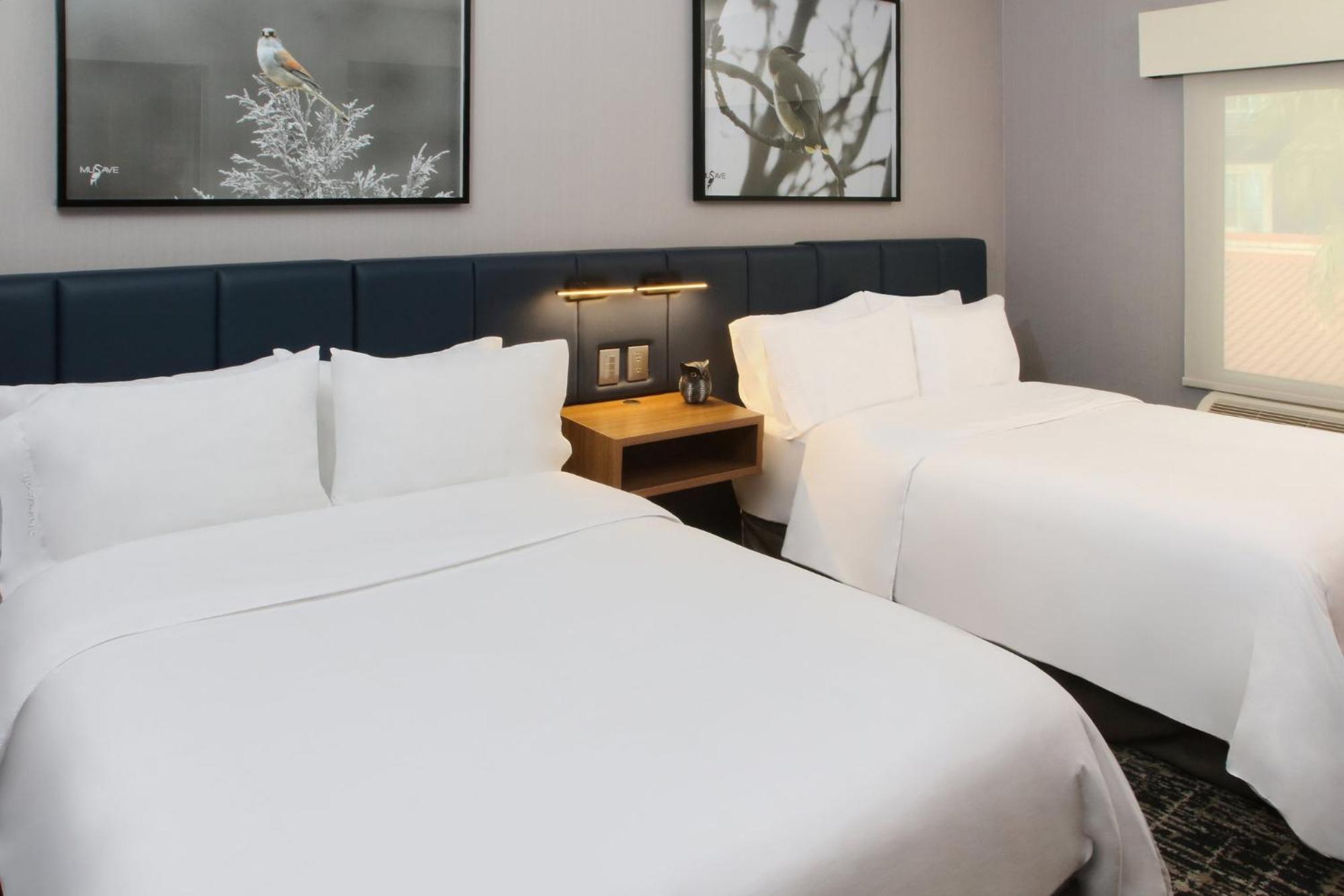 Voco Saltillo Suites By Ihg Eksteriør bilde