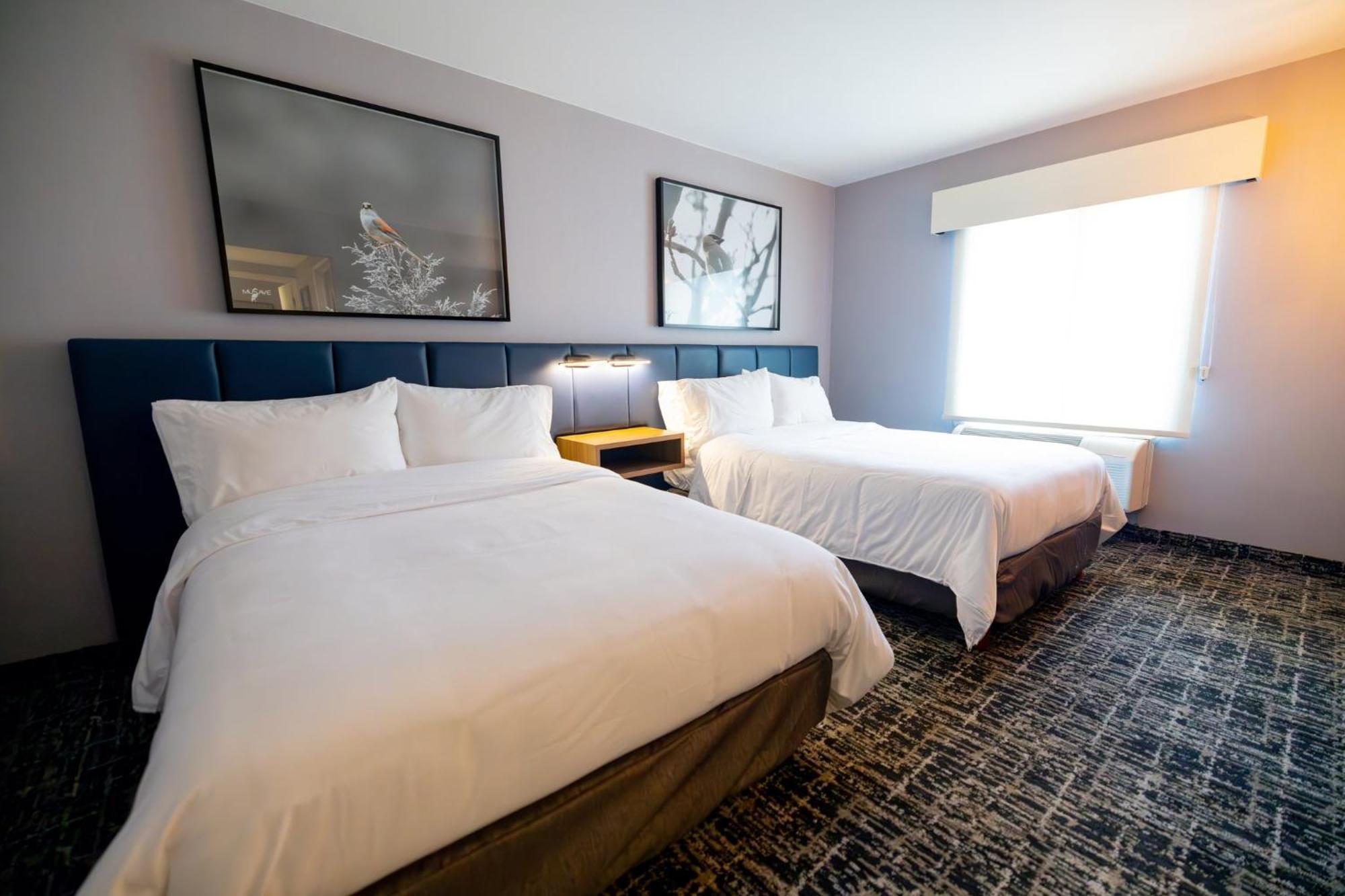Voco Saltillo Suites By Ihg Eksteriør bilde